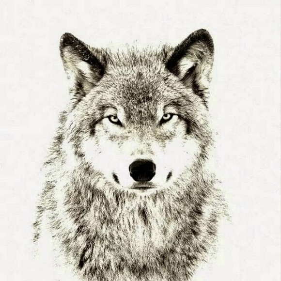 Meet your Posher, Debra - Picture 1 of 1